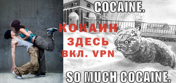 шишки Гусь-Хрустальный
