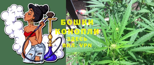 альфа пвп Гусиноозёрск