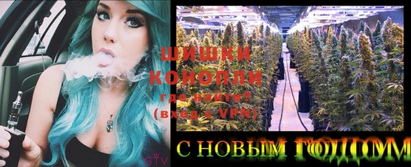 шишки Гусь-Хрустальный