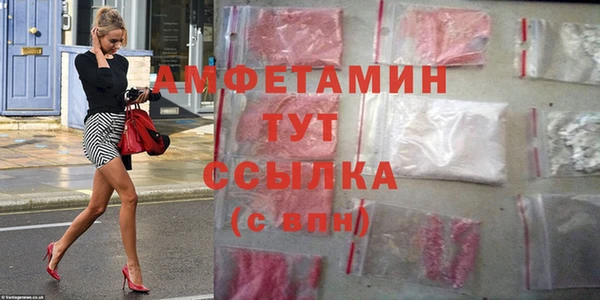 шишки Гусь-Хрустальный
