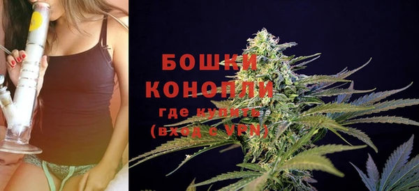 a pvp Гусев