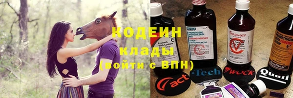 шишки Гусь-Хрустальный