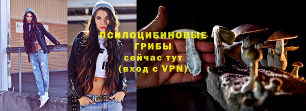альфа пвп Гусиноозёрск