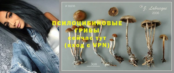 альфа пвп Гусиноозёрск
