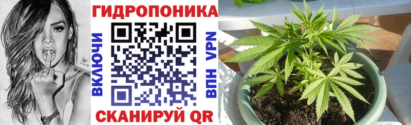 купить наркотик  Темрюк  Каннабис Amnesia 